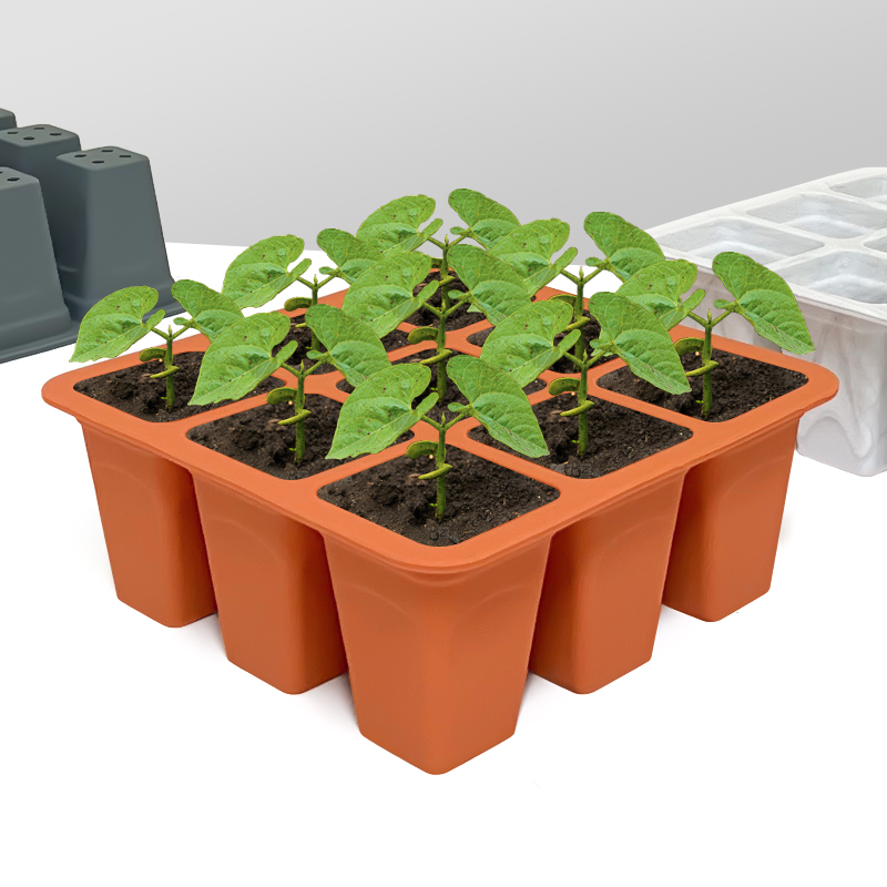 Bandeja de silicona de 9 celda - Seed Starter Tray reseña y precio