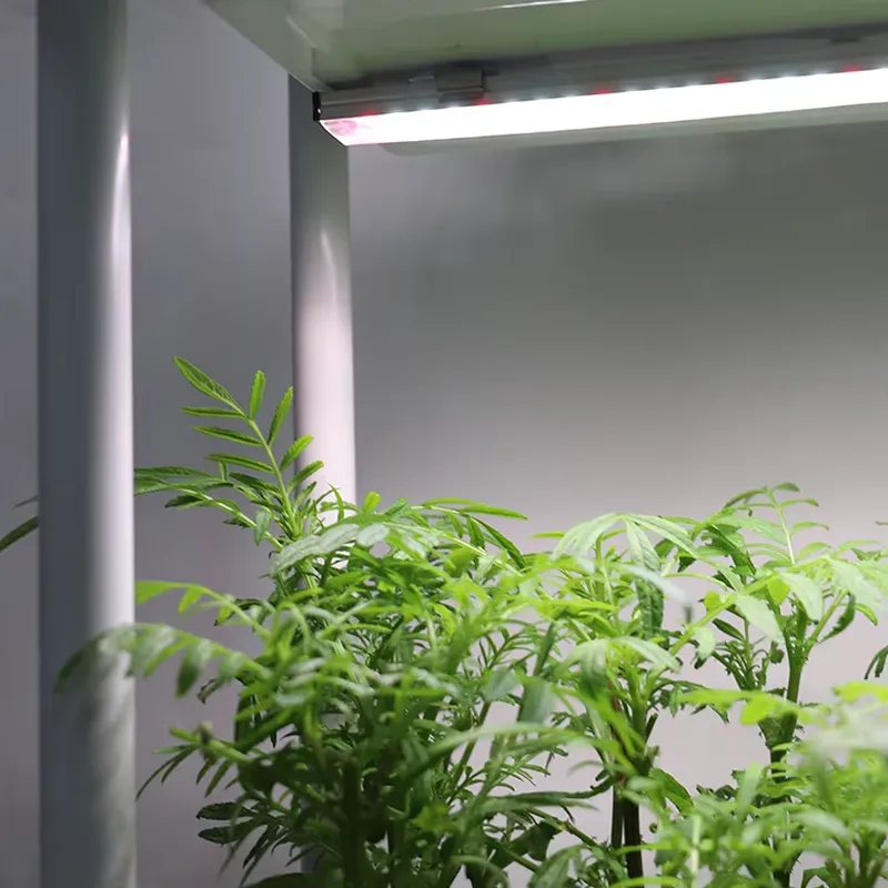 Jardinera Inteligente Vertical - Indoor Herb Garden reseña y precio