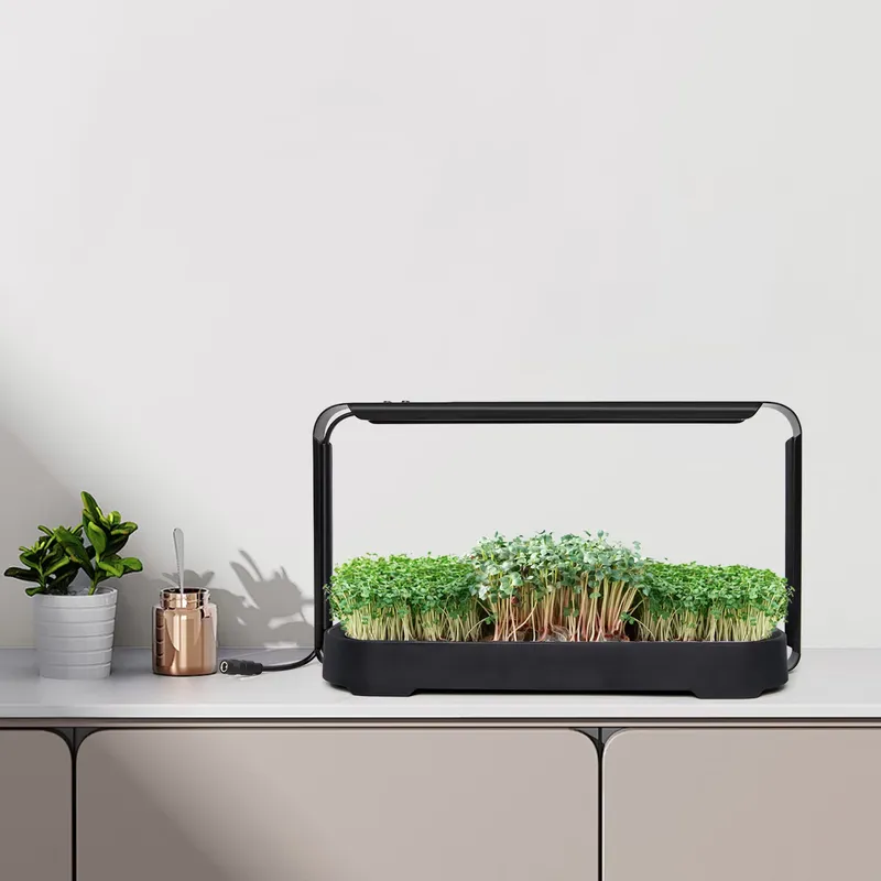 Sistema de Cultivo Hidropónico - Self Watering Planter reseña y precio