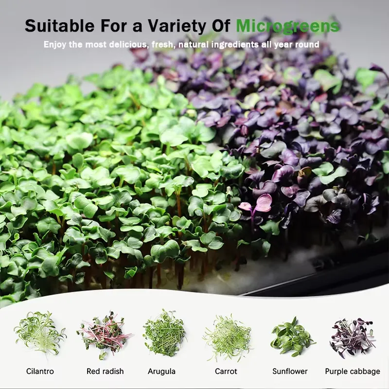 Sistema de Cultivo Hidropónico - Self Watering Planter reseña y precio