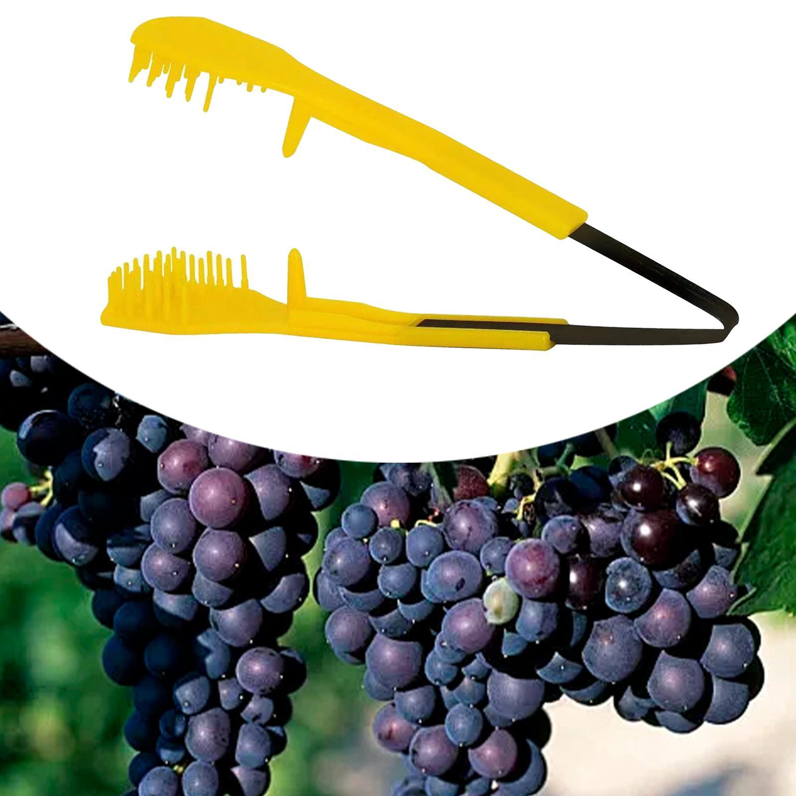 Tijeras de podar estándar, cor - Pruning Shears reseña y precio