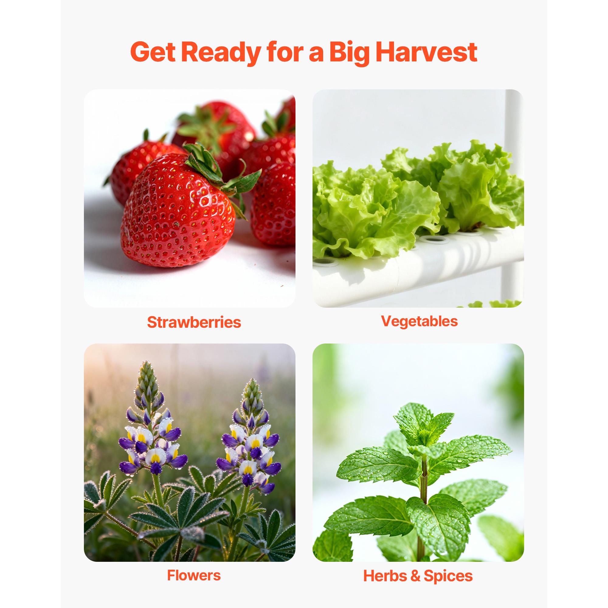 Kit de sistema de cultivo hidr - Indoor Herb Garden reseña y precio