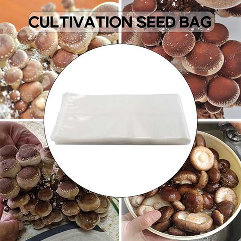 50 bolsas de setas/bolsas de c - Grow Bag reseña y precio
