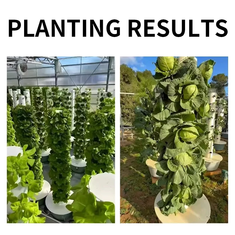 Sistema de cultivo hidropónico - Hydroponic Kit reseña y precio