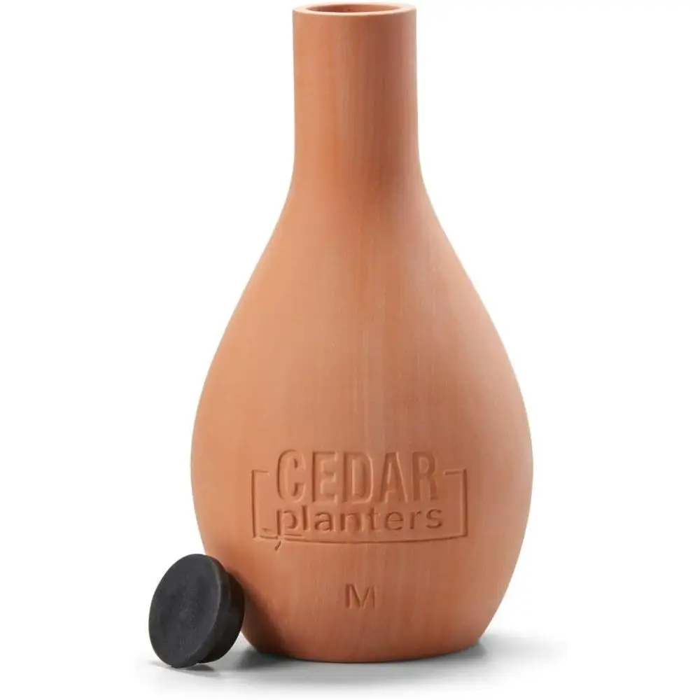 Maceta de Cerámica con Sistema - Self Watering Planter reseña y precio