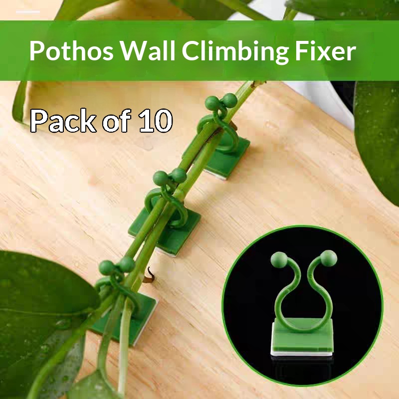 Clips autoadhesivos para fijar - Indoor Herb Garden reseña y precio
