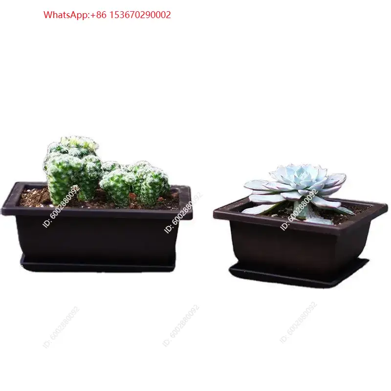 1 maceta de plástico con bande - Plant Pot reseña y precio