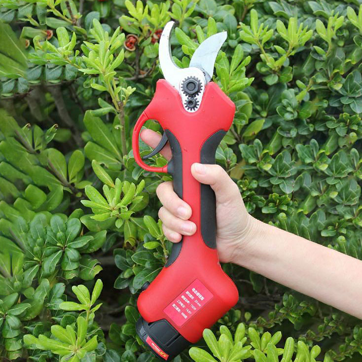 Tijeras de Podar Eléctricas In - Pruning Shears reseña y precio
