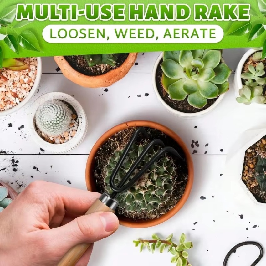 Juego de 3 herramientas de jar - Trowel Garden Tools reseña y precio